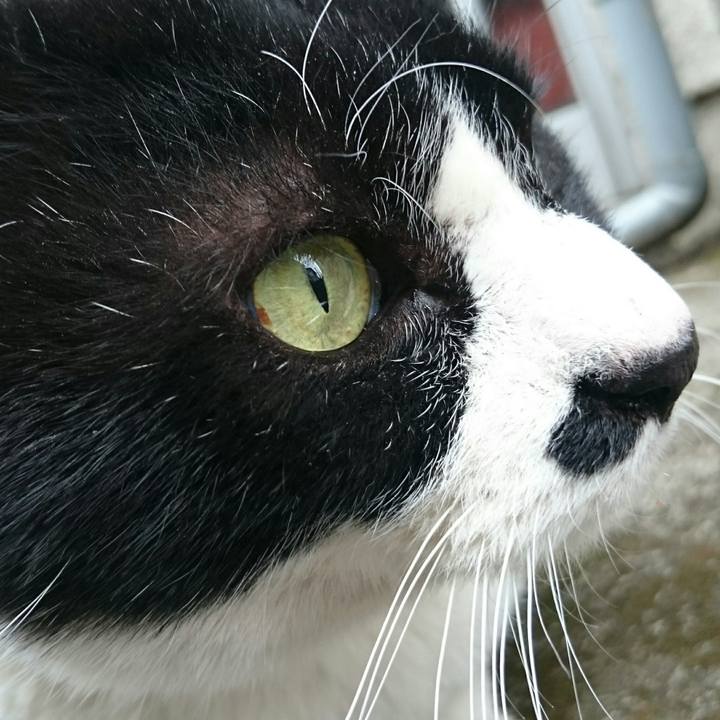 69d59c1f 9ffd 4c19 a550 949fa146709c