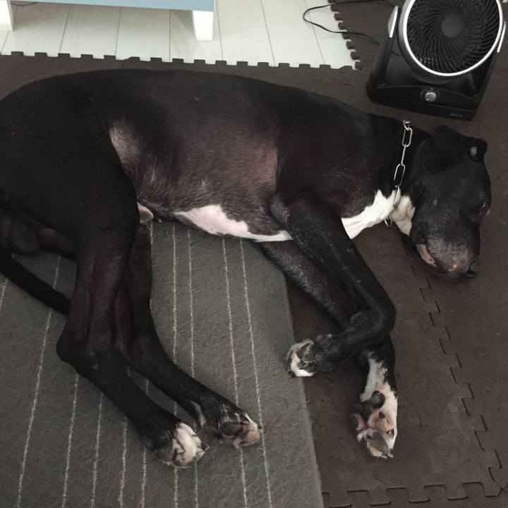 69d5ac0c 7d82 4a46 832c d1a95d5dd4a9