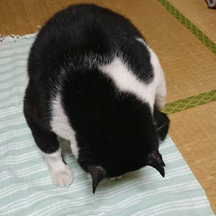 69d68edd 06be 46f2 b993 bec1d63a67fe