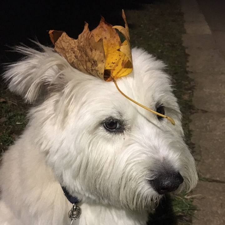 69d6c876 6339 4b5c b5e2 116b31a86476