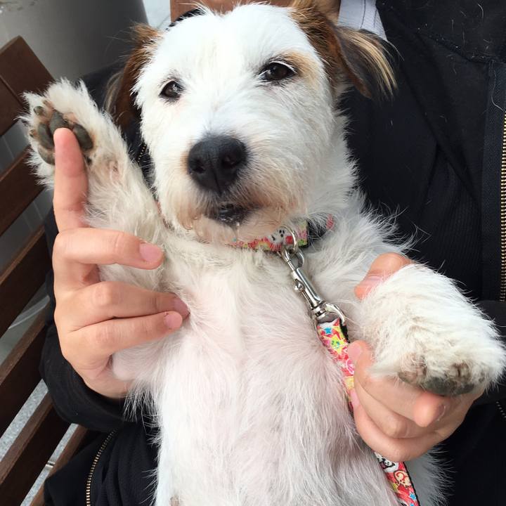 69d7233f 1962 4fdf 9510 df2e01a8c868