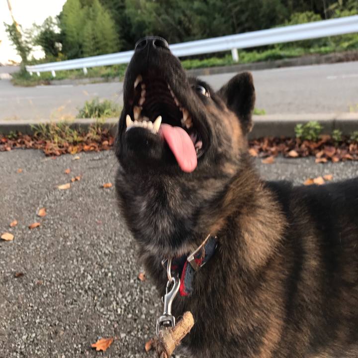 69d73a74 40e4 4773 ac6c c5a14d02a522