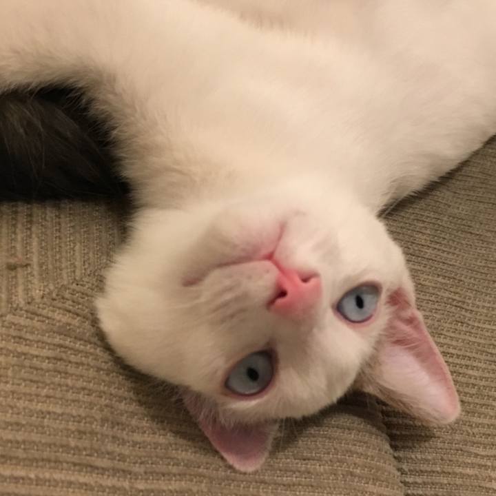 69d81576 4f32 4b6c 9cfa 9e5a693a0b8d