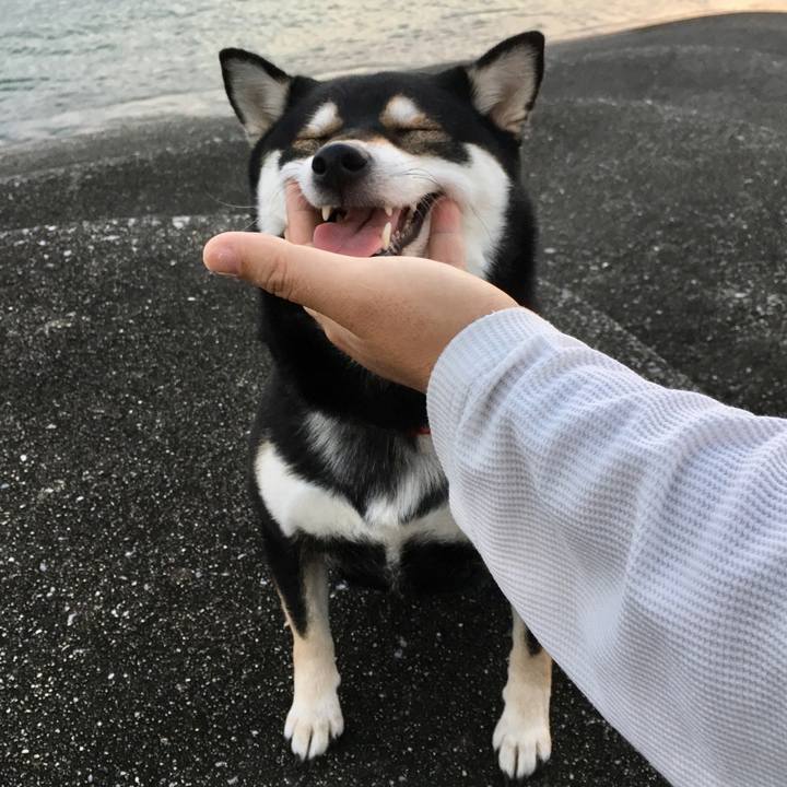 69d89994 7fa6 4c05 bb9f 12ad9f37ab1b