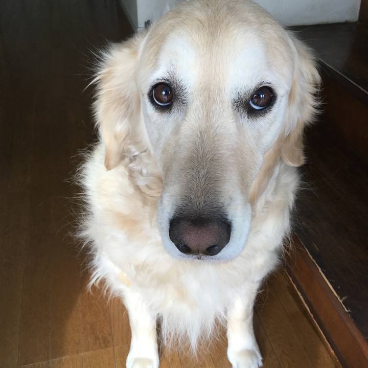 69d91c7c 3617 4b09 a6a4 1d944be70b1b