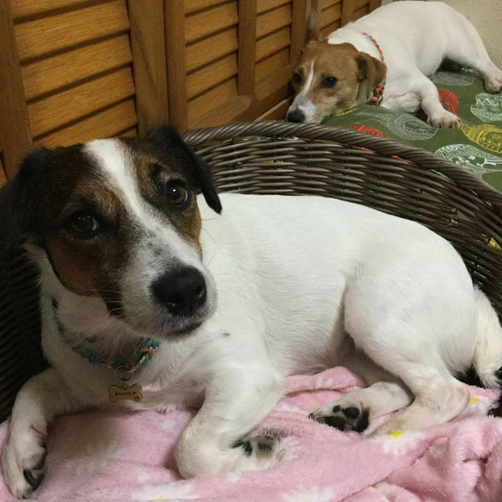 69d92b5e c243 4675 b118 2b1f38151750