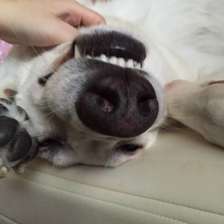 69d950a5 eea1 4816 92de 2fe216cf3ef7