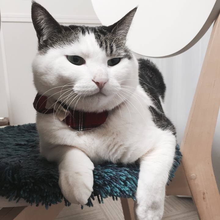 69d9a77a c4e3 44fe a091 8aa1ad77ccd7