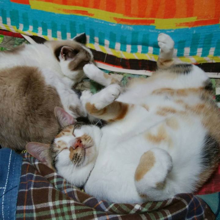 69d9ed33 41dc 4ab9 9f1e ec0b4eed18e9