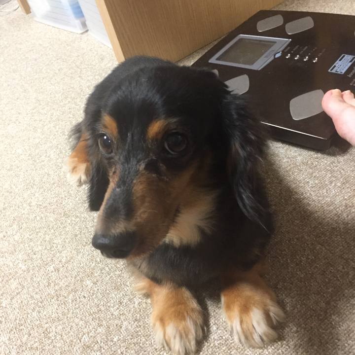 69da668e 4439 48e9 b1e6 62ee4e3362a1