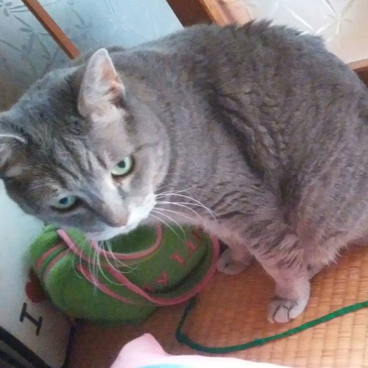 69dac85a 7ac0 4b9a 8616 4d6d286ade3e