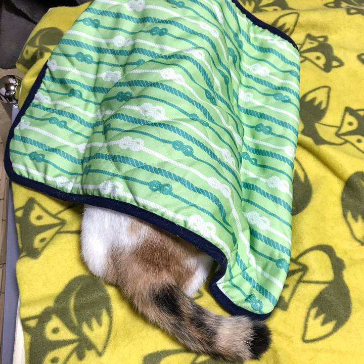 69db44c5 4106 48eb a8b3 9782d1e45f32