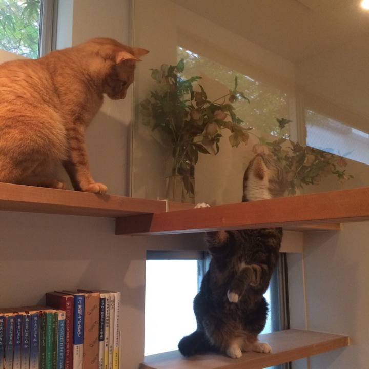 69db77bb 3423 453a 828b 0f0b14d977b5