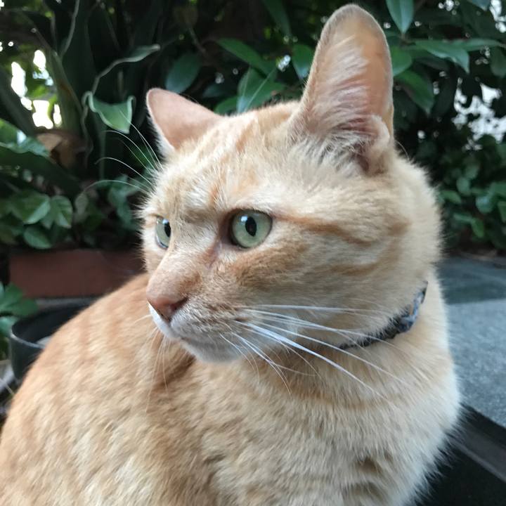 69db98f0 c830 4a1f b650 0fed3a506a0a