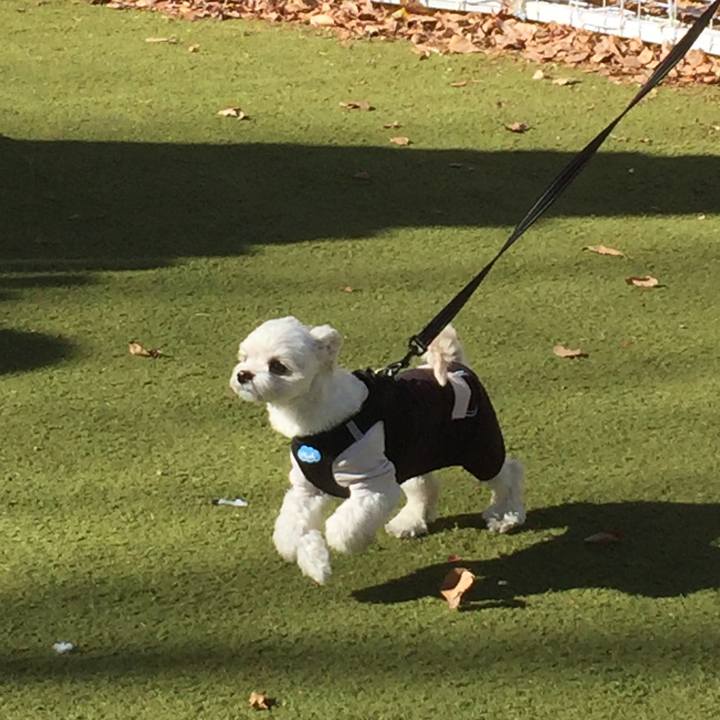 69dbd6dc b8b5 4a5e 89d1 dd2603f46529