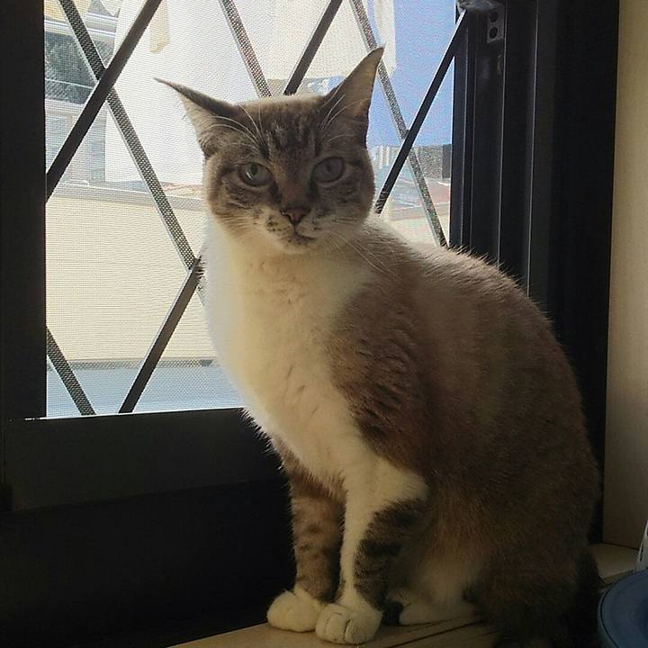 69dbeb78 4a44 41eb 9fe7 28a41ed533d1