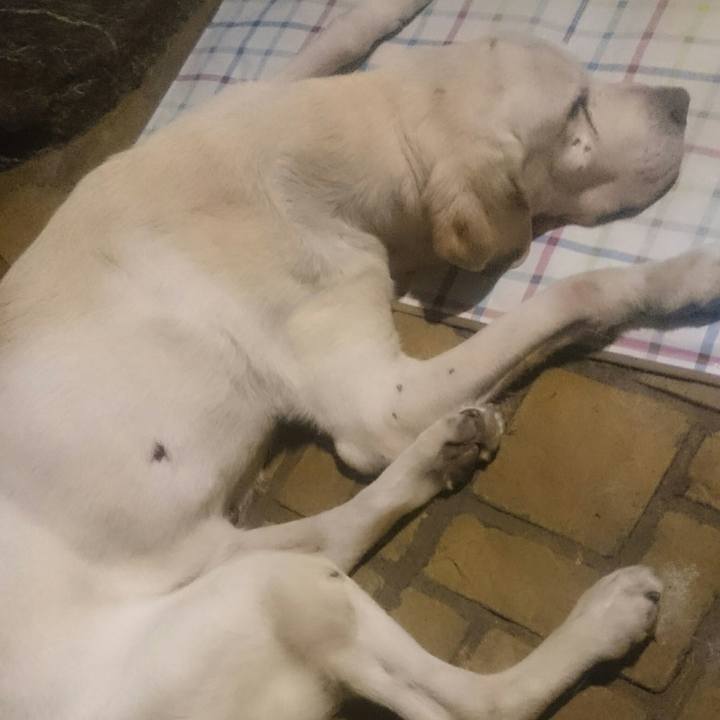 69dcfcc3 49dd 4d39 a382 f4af6aaef0e2