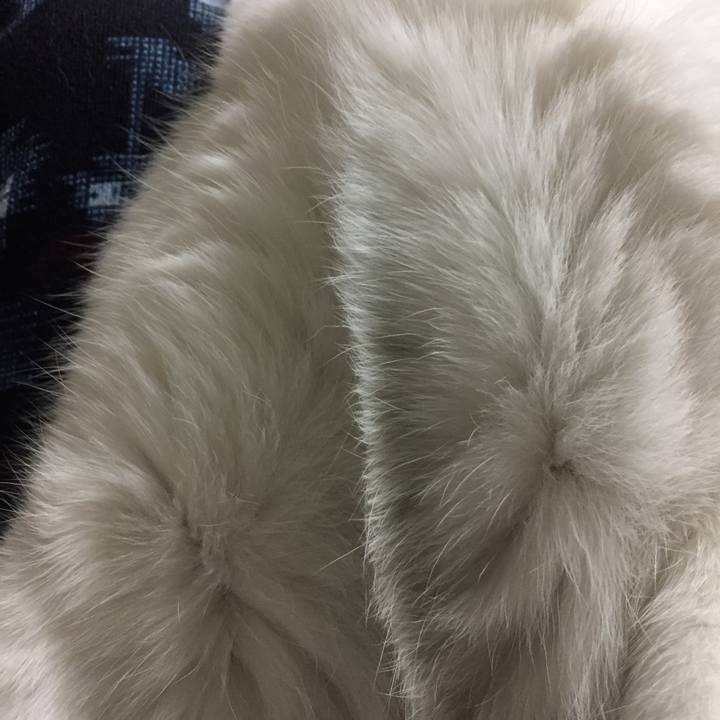 69dd5c1c 84d7 426f 8ec6 f7f3351e4c51