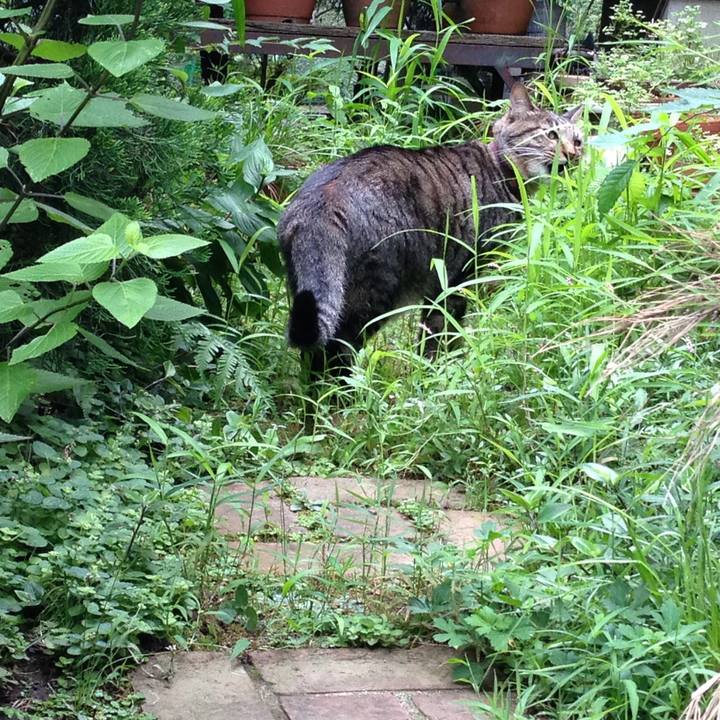 69dd894e cb5d 4ac7 8dbe 9923ab0ce7b3