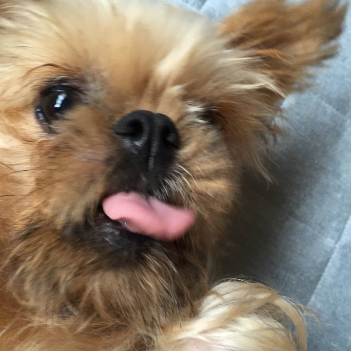 69ddfb43 75ba 48df be21 e4fceaec1f0f