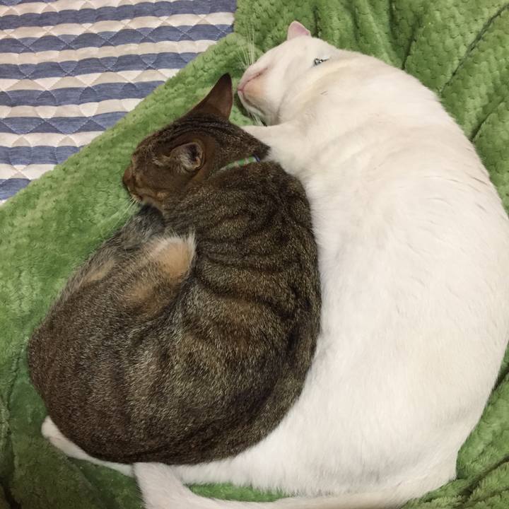 69dea7a4 2732 4d33 b1cd ba0a6c4aa294