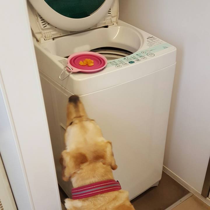 69deb1f0 ce4a 4183 a719 c675713cea00