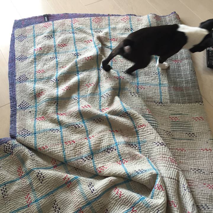 69df3492 3660 4585 9878 394d75ffd2f3