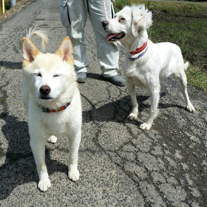 69df5c69 c6aa 4ddd a398 dadaad0b1935