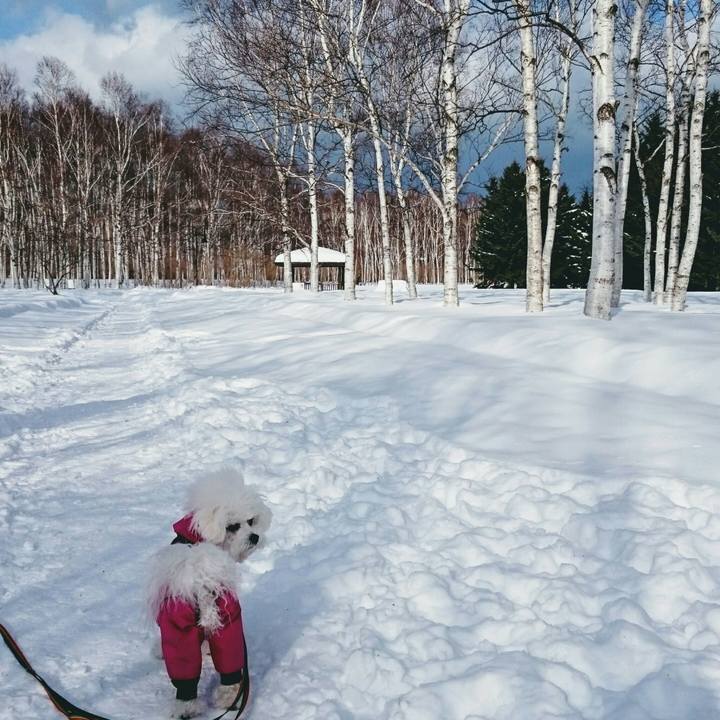 69e0730e 2254 44dc 8881 6b324e70bb31