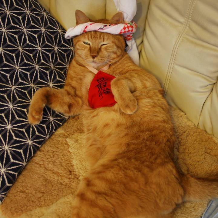 69e08458 5108 4ee0 b68b 1c13f1be3888