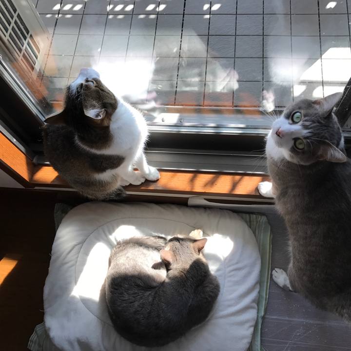 69e0ccc9 801b 4f24 a081 c44b6e9c60fa