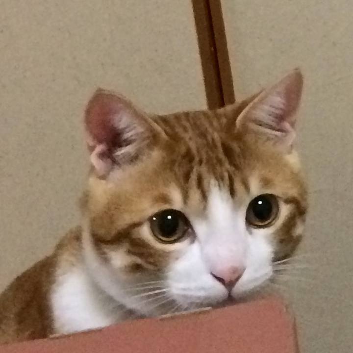 69e12f57 1112 4c02 99b8 10d976f96bc1