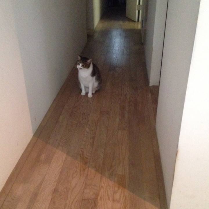 69e1568b 1011 462c b3fa 0bf46e892265