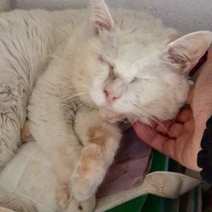 69e16be2 4057 475f 8c8f 7feff406a760