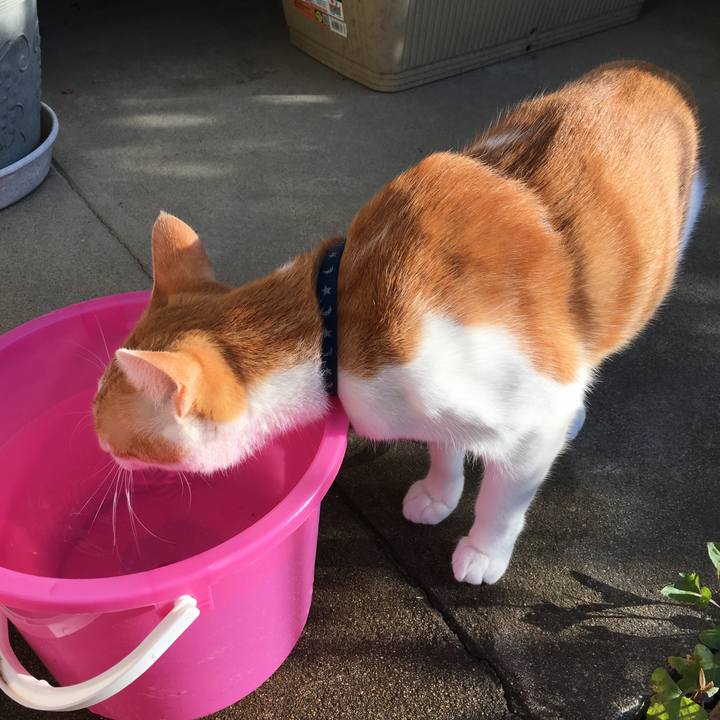 69e193f8 ed34 4903 9001 f7def09e7821