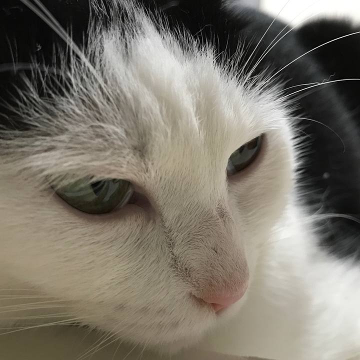 69e25c12 89f6 445b ae1c e20732a28373