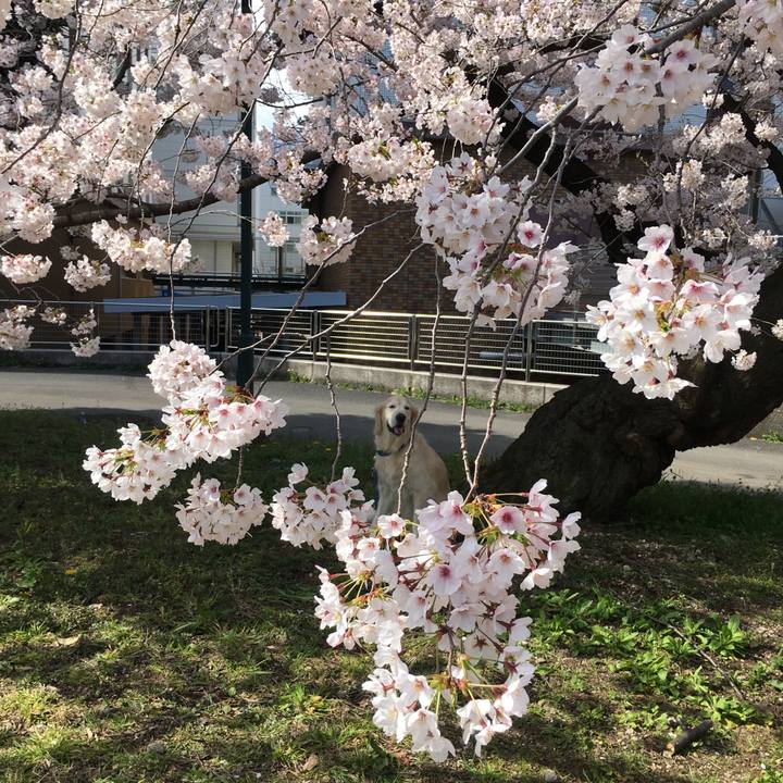 69e2fbd3 47bc 4384 9d7b 7c599d26623a