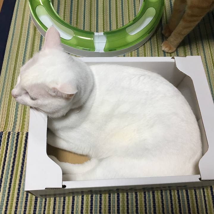 69e39f2a ff30 4b72 8196 da78213c7f6a