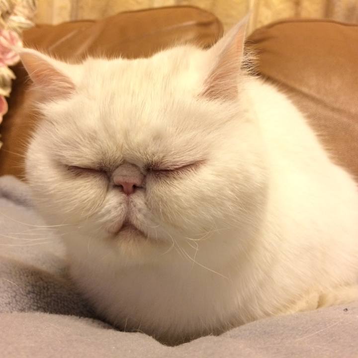 69e45ac6 2196 4cdf 816a 8ac51ef15540