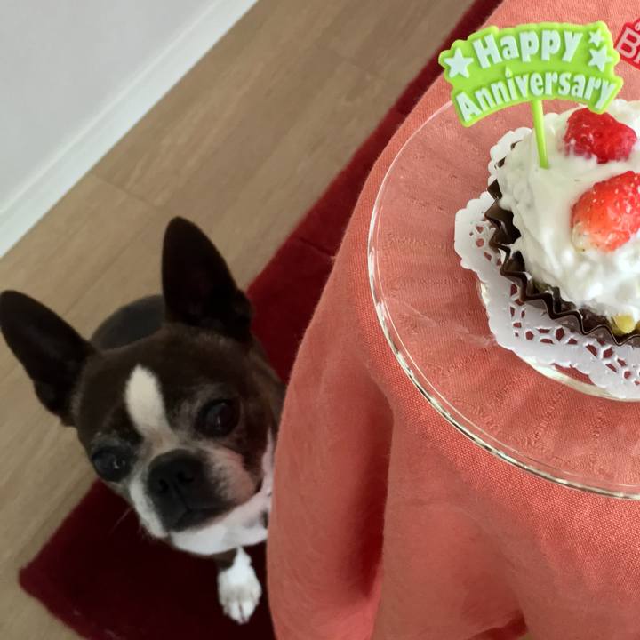 69e45c3c e0bf 42de 8cbc eea7aae5f6bf