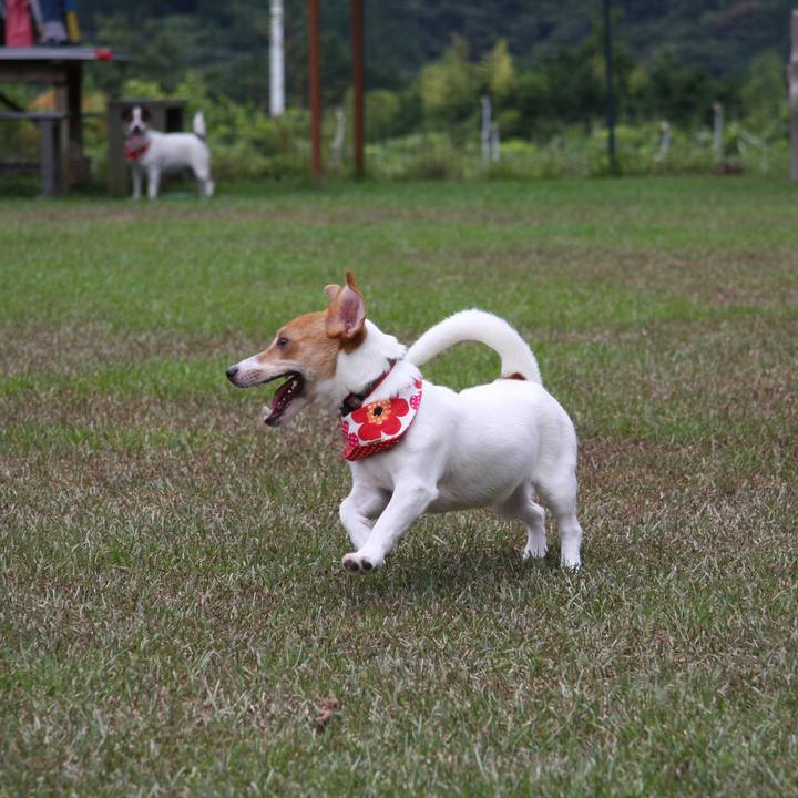 69e508d6 d098 4891 83c6 a056365fa8e8