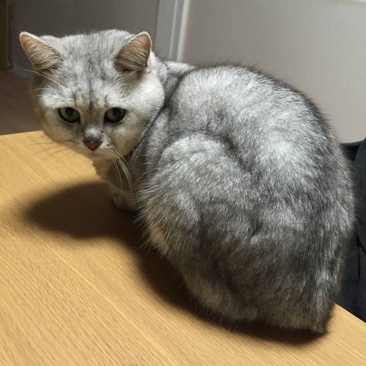 69e5a85f cea8 48e9 9069 641740d97137