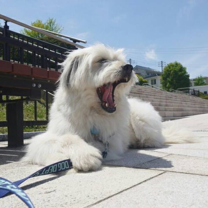 69e5b836 0b8b 49cb bdb3 7bd6c2882ed8