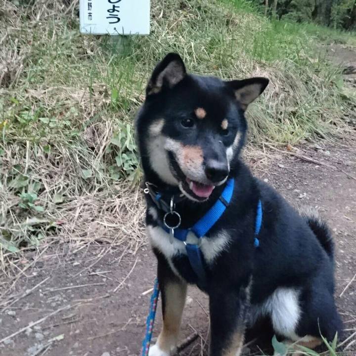 69e5c58a 040a 461a 8000 a3191fab3353