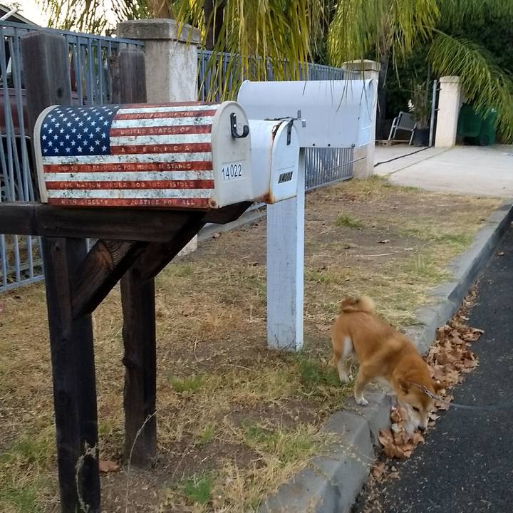 69e5f8a7 4330 4fd9 bc9a 7e9b1e4aa7d1