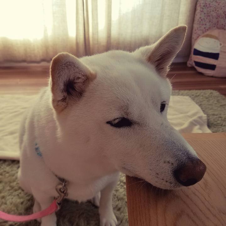 69e604f1 6e42 4466 8788 5d6cfa34ba09