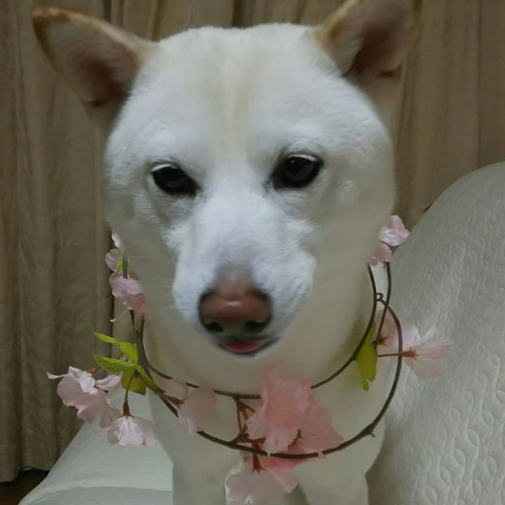 69e731cb f63b 4a85 8b89 0ea96f8179f4