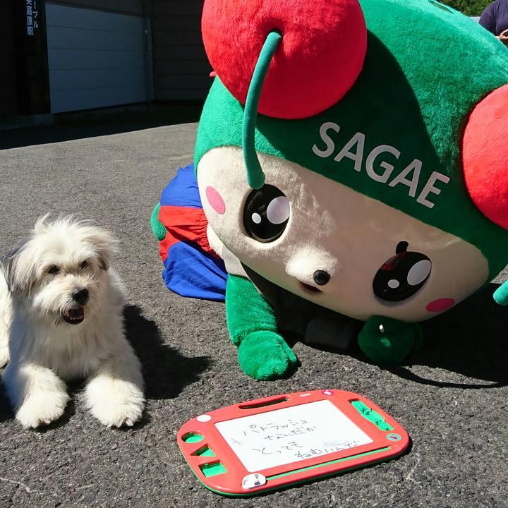 69e7489e fc19 40e4 86ca aee263c3e3e9