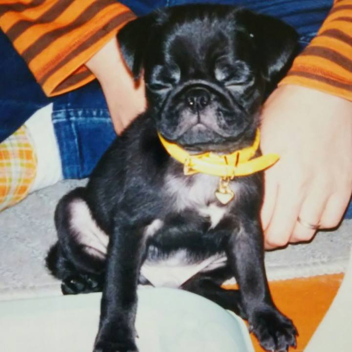 69e7905d 8dcd 42cf bd47 873539761571