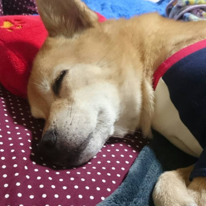 69e7a5be c08d 493c 9c32 fb7a55d09a1c